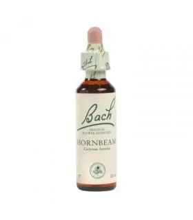 Bach Hornbeam 20ml