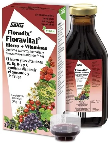Floradix Floravital 250 ml...