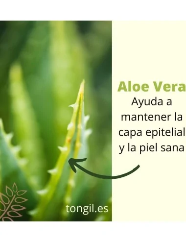Tongil Jugo de Aloe Vera...