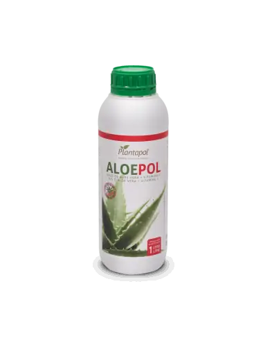 Plantapol Pack 3 Aloepol 1 L.