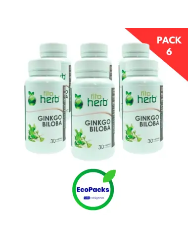 Fito herb EcoPack 6 Ginkgo...