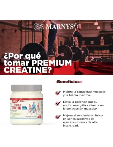 Marnys Premium Creatine 428...