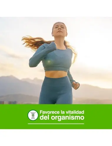 Soria Natural Maca 30...