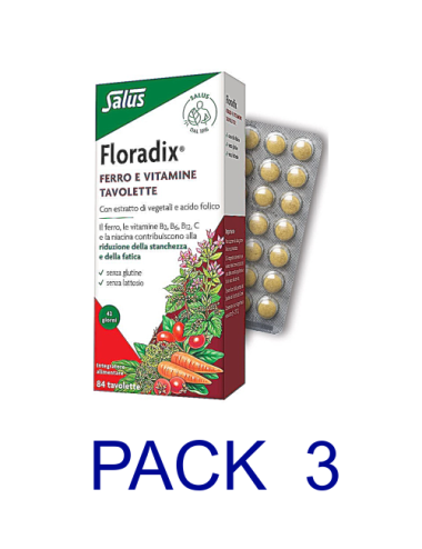 Pack 3 Salus Floradix 84 Comp.