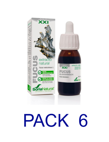 Pack 6 Soria Natural...