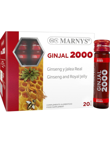 Marnys Ginjal 2000 20...