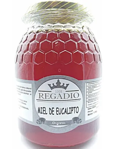 Regadio Organic Miel Eucalipto 1 kg