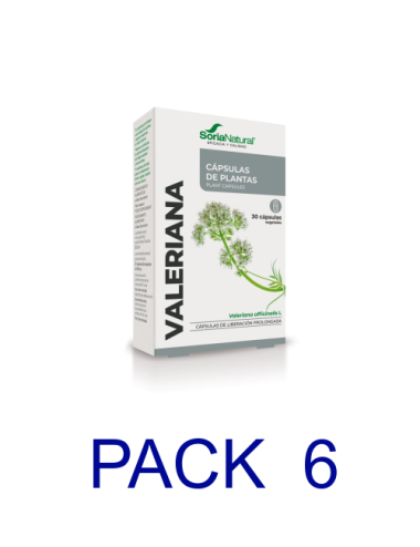 Soria Natural Pack 6...