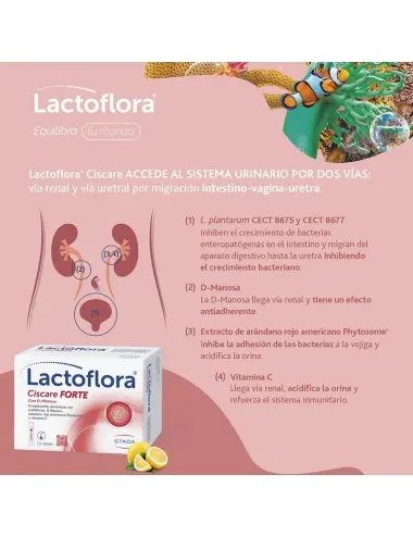 Lactoflora Ciscare Forte 10...