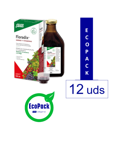 Salus EcoPack 12 Floradix...