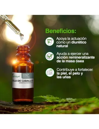 Soria Natural Extracto De...