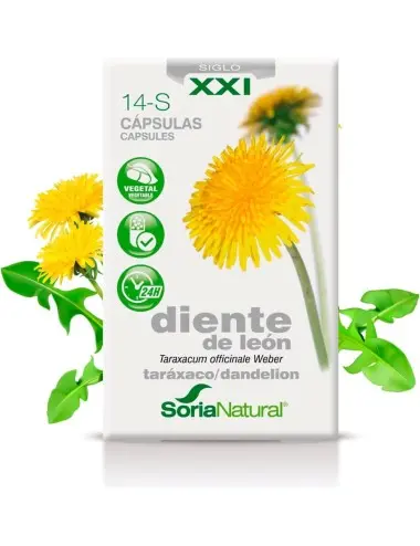 Soria Natural Diente De...