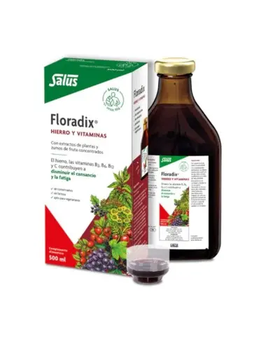 Salus Floradix 500 ml