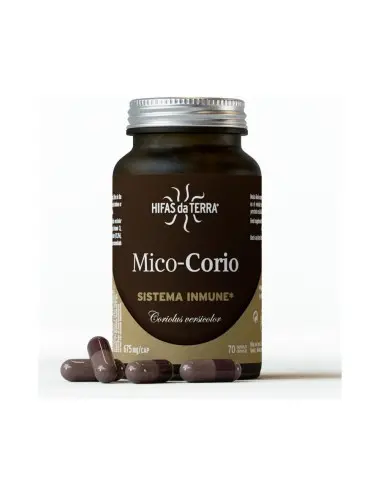 Hifas Da Terra Mico-Corio...