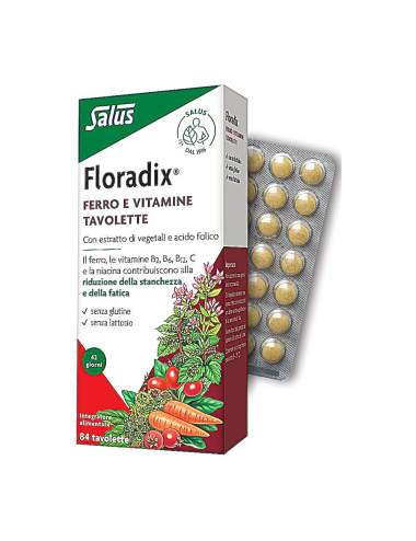 Salus Floradix 84 Comp.