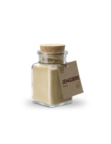 Jengibre molido ECO 65 gr...