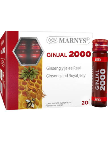 Marnys Ginjal 2000 20...