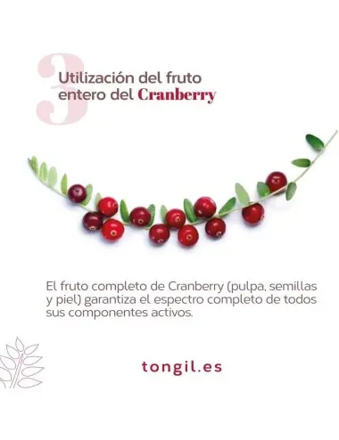 Tongil Estado Puro...