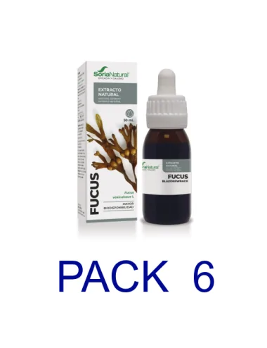 Pack 6 Soria Natural...