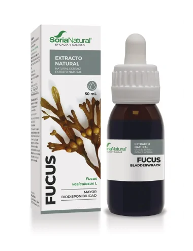 Soria Natural Extracto De...