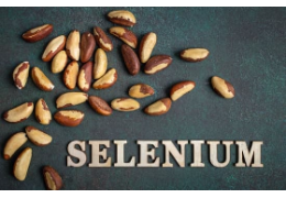 Selenio: el mineral esencial que puede faltar en la dieta vegana
