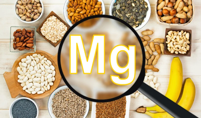 ¿Por qué es importante el Magnesio como suplemento?